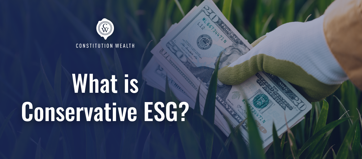 What Is Conservative ESG